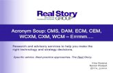 Acronym Soup: CMS, DAM, WCXM, CEM, CXM, ECM, WCM Dissected