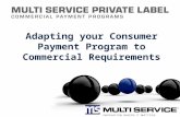 Adapting a consumer payment program to fit commercial requirements