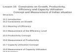 Productivity, Efficiency and Capacity utilisation in Industrial units