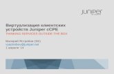 Виртуализация клиентских устройств Juniper cCPE