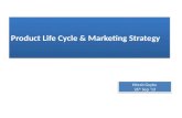 Product life cycle & marketing strategy