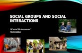 Social groups and social interactions