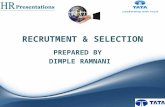 Recrutment & selection HR PRESENTATION