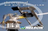 Nelson Big gun