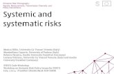 Systemic and Systematic risk - Monica Billio, Massimiliano Caporin, Roberto Panzica, Loriana Pelizzon. July, 2 2014