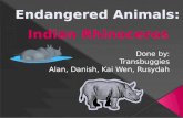 Endangered animals rhinoceros transbuggies
