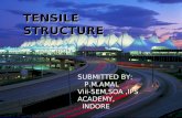 Dissertation:-Tensile Structures,P.M.AMAL