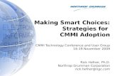 Making Smart Choices: Strategies for CMMI Adoption