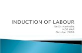 Induction of Labour by Dr Navin