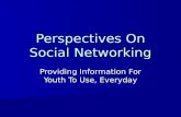Perspectives On Social Networking