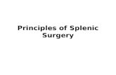 Splenectomy presentation2
