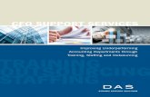 DAS Brochure: CFO Support Services
