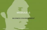 Business environment 1 st module  mba Management