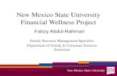 Financial Wellness Project