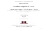 Project Report Recruitment and FYP
