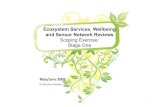 From Social Media: Ecosystems, Wellbeing & Sensor Networks. A Scoping Exercise