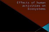 Effects of human activities on ecosystems I