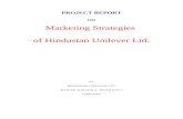 40173311 1152 Marketing Strategies of Hul 2
