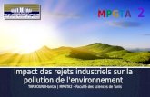 Impact des rejets industriels sur la pollution de l'environnement