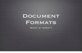 Document Format Presentation