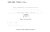 MICON - NI 43-101 Technical Resource Report