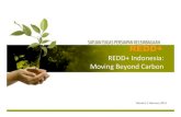 REDD+ Indonesia: Moving Beyond Carbon