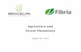 Agriculture and Forest Plantations - Bracelpa