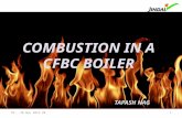 Combustion in a CFBC Boiler