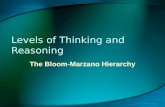 Levels of Thinking and Reasoning