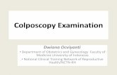 Colposcopy Examination