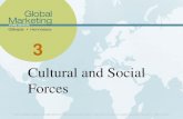 Wk 3 - Cultural and Social Forces