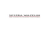 Sestra Wazelin: The Cassette Played Poptones - Recenzije