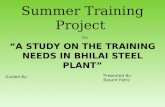 LCM Summer Training Project TRAINING NEEDS IN BHILAI STEEL PLANT.ppt