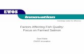 Factors Affecting Fish Quality Focus on Farmed Salmon
