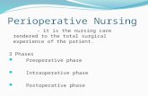 Perioperative Nursing Lecture. ppt