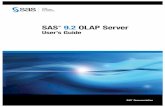 SAS Olap Server