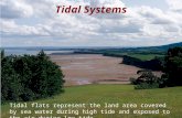 Tidal Systems