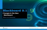 20100617 Intro to Blackboard Learn 9.1