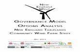 Governance Model Options Analysis