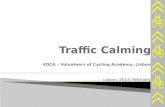 Traffic Calming (Voca meeting)