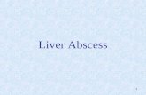 Liver Abscess (1)