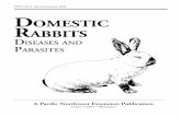 (2) Domestic Rabbits Diseases and Parasites