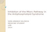 Inhibition of the mtorc pathway in the antiphospholipid