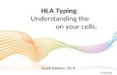 HLA sequencing - the barcode on your cells