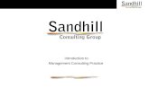 Sandhill turnaround consulting practice