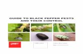 Copy of Black Pepper Field Guide
