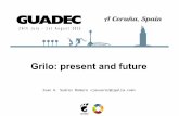 Grilo: present and future