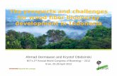 The prospects and limitations for wood fibre bioenergy development in Indonesia