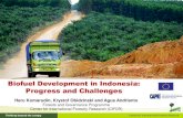 Biofuel development in Indonesia: progress and challenges