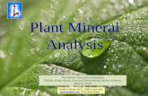 Elemental Analysis of Plant Material